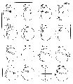 Merkurkarte v. Schroeter 