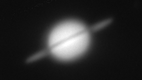 Saturn über Wien, am 23. Juni 2025 um 3h04 MESZ im Heliometer der Kuffner-Sternwarte mit dem Eberstadt-Kuffner-Objektiv. Bild: GW