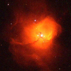  N81