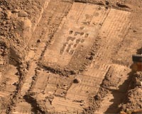 Die Bodenprobe kam aus einem Graben von etwa 2 cm Tiefe 