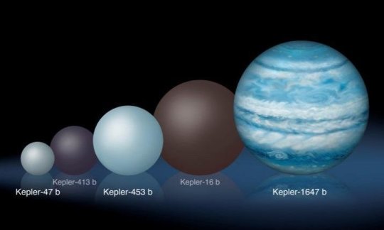 Ein Vergleich der relativen Größen von mehreren Kepler-Zirkumbinär-Planeten. Kepler-1647b ist wesentlich größer als die anderen derzeit bekannt zirkumbinären Planeten.