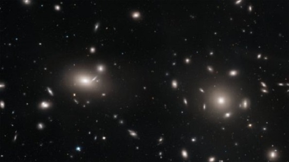 Dies ist ein Hubble-Weltraumteleskop-Mosaik aus einem Teil des riesigen Coma-Clusters mit über 1.000 Galaxien. Bild: NASA,ESA.J.Mack (STScI) und J. Madrid (Australien Telescope National Facility)