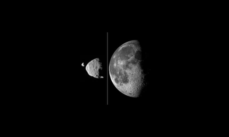 Dieses Komposit-Bild zeigt, wie groß die Monde des Mars von der Oberfläche des Roten Planeten aus gesehen werden, im Vergleich dazu, wie unser Mond von der Erdoberfläche aus zu sehen ist. Bild: NASA/JPL-Caltech/Malin Space Science Systems/Texas A&M Univ.