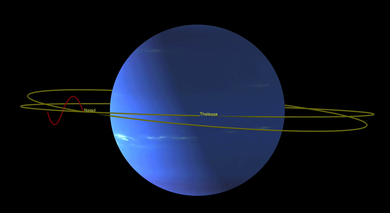 Diese Animation zeigt die Umlaufbahnen von Neptuns innersten Monden Naiad und Thalassa. Credit: NASA