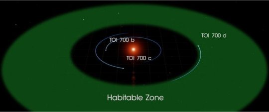 Diese Abbildung von TOI 700 d basiert auf mehreren simulierten Umgebungen für eine mit einem Ozean bedeckte Version eines Planeten. Credit: NASA's Goddard Space Flight Center