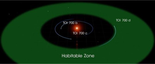 Diese Abbildung von TOI 700 d basiert auf mehreren simulierten Umgebungen für eine mit einem Ozean bedeckte Version eines Planeten. Credit: NASA's Goddard Space Flight Center