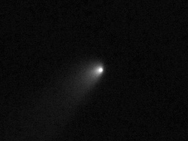 Komet 2019 LD2 (ATLAS). Credit: Hubble Space Telescope/Bryce Bolin
